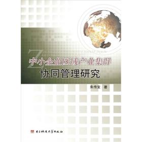 中小企业区域产业集群