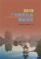 2015广西经济社会调查