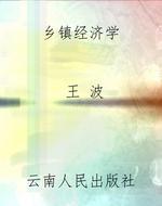 《乡镇经济学》