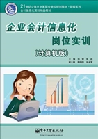 企业会计信息化岗位实