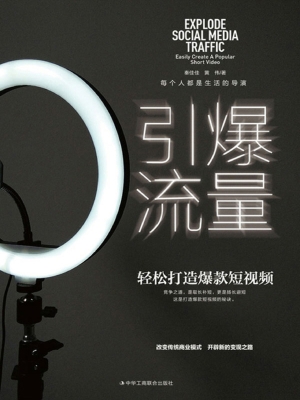 引爆流量：轻松打造爆款