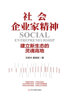 社会企业家精神：建立新