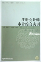 注册会计师审计综合实