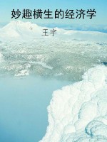 妙趣横生的经济学