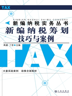 新编纳税筹划技巧与案