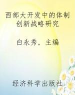 西部大开发中的体制创