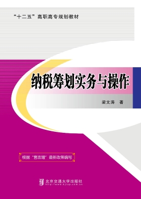 纳税筹划实务与操作