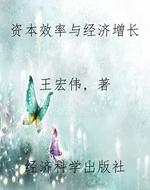 资本效率与经济增长