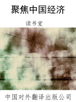 聚焦中国经济