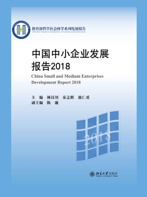 中国中小企业发展报告