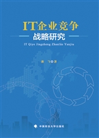 IT企业竞争战略研究