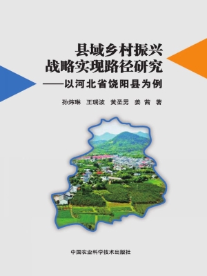 县域乡村振兴战略实现