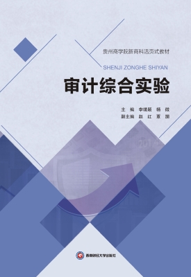 审计综合实验