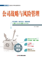 公司战略与风险管理