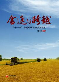 奋进与跨越：“十一五”