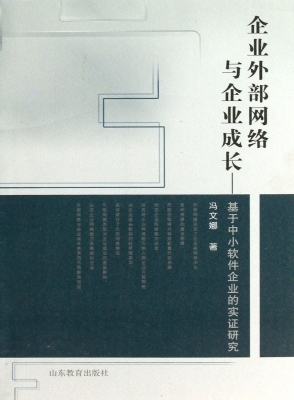 企业外部网络与企业成