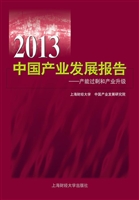 2013中国产业发展报告