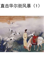 直击华尔街风暴（1）