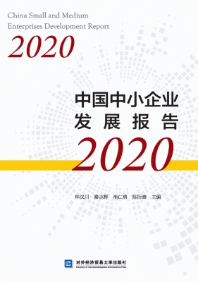 中国中小企业发展报告