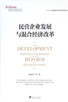 民营企业发展与混合经