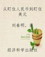 从盯住人民币到盯住美