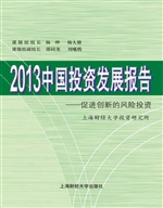 2013中国投资发展报告