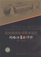 发电集团公司资本运营