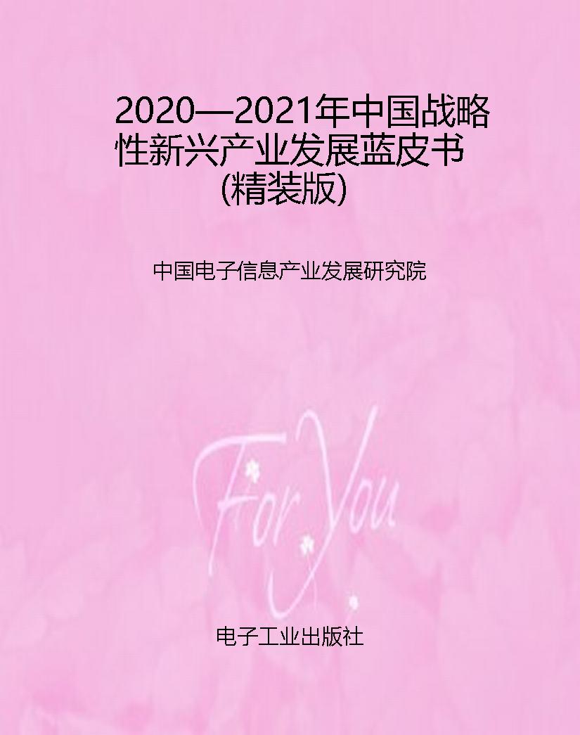 2020—2021年中国战略