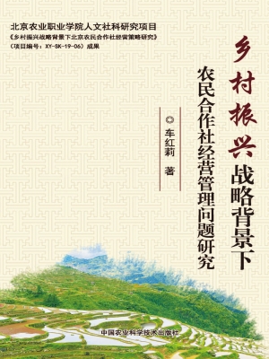 乡村振兴战略背景下农