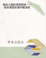 超级大国的弱势群体—