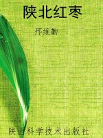 陕北红枣