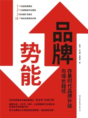 品牌势能：存量时代品牌