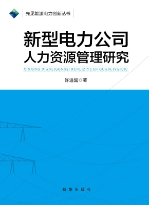 新型电力公司人力资源