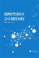 战略性新区会计制度初