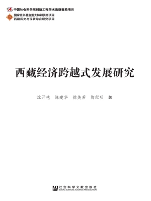 西藏经济跨越式发展研