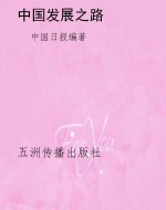 中国发展之路