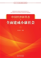 中国经济新常态与全面