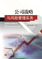 公司战略与风险管理实