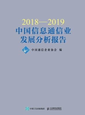 2018—2019中国信息通