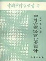 中外合资经营企业审计