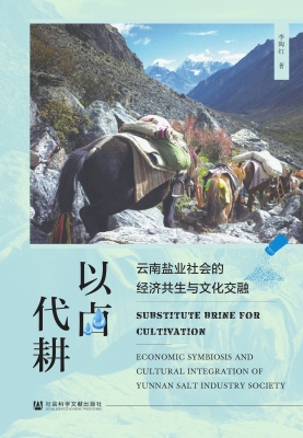 以卤代耕：云南盐业社会
