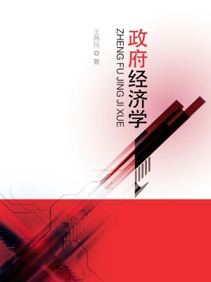 政府经济学