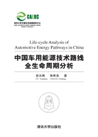 中国车用能源技术路线