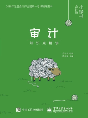 审计——知识点精讲