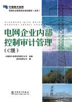 电网企业内部控制审计