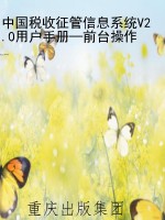 中国税收征管信息系统