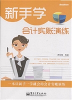 新手学会计实账演练
