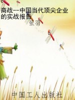商战--中国当代顶尖企
