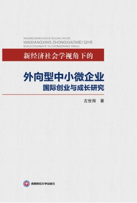 新经济社会学视角下的