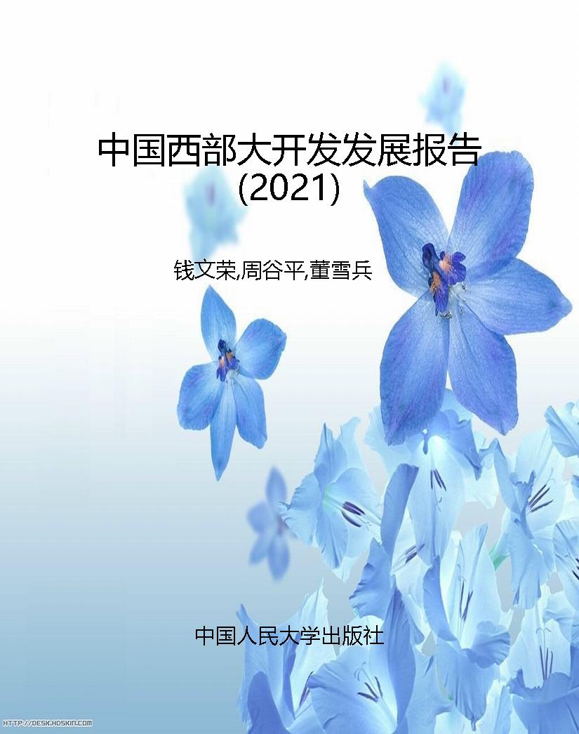 中国西部大开发发展报